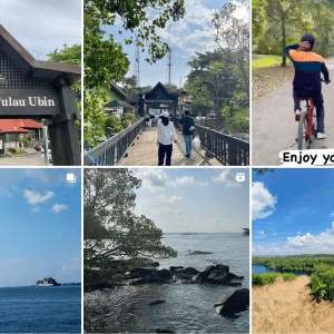 Pulau Ubin — Pulau Ubin — Singapore Insiders