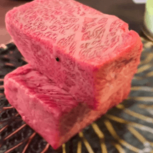 wagatomo japanese food tanjong pagar