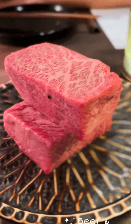 wagatomo japanese food tanjong pagar