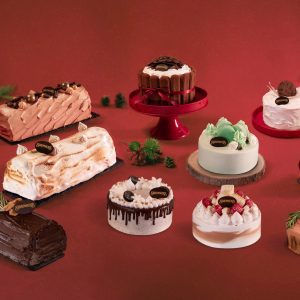 swensens ice cream cake - singapore insiders 2023