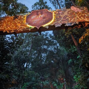 harry potter a forbidden forest experience - singapore insiders 2024