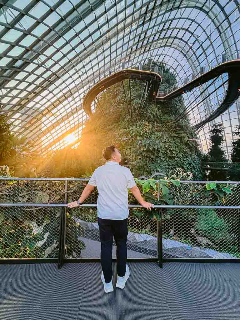 Jurassic World The Experience - Singapore Insiders 2025