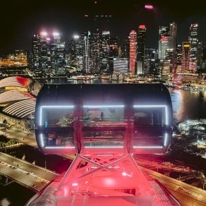singapore flyer - singapore insiders 1