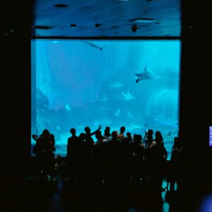 Singapore Oceanarium