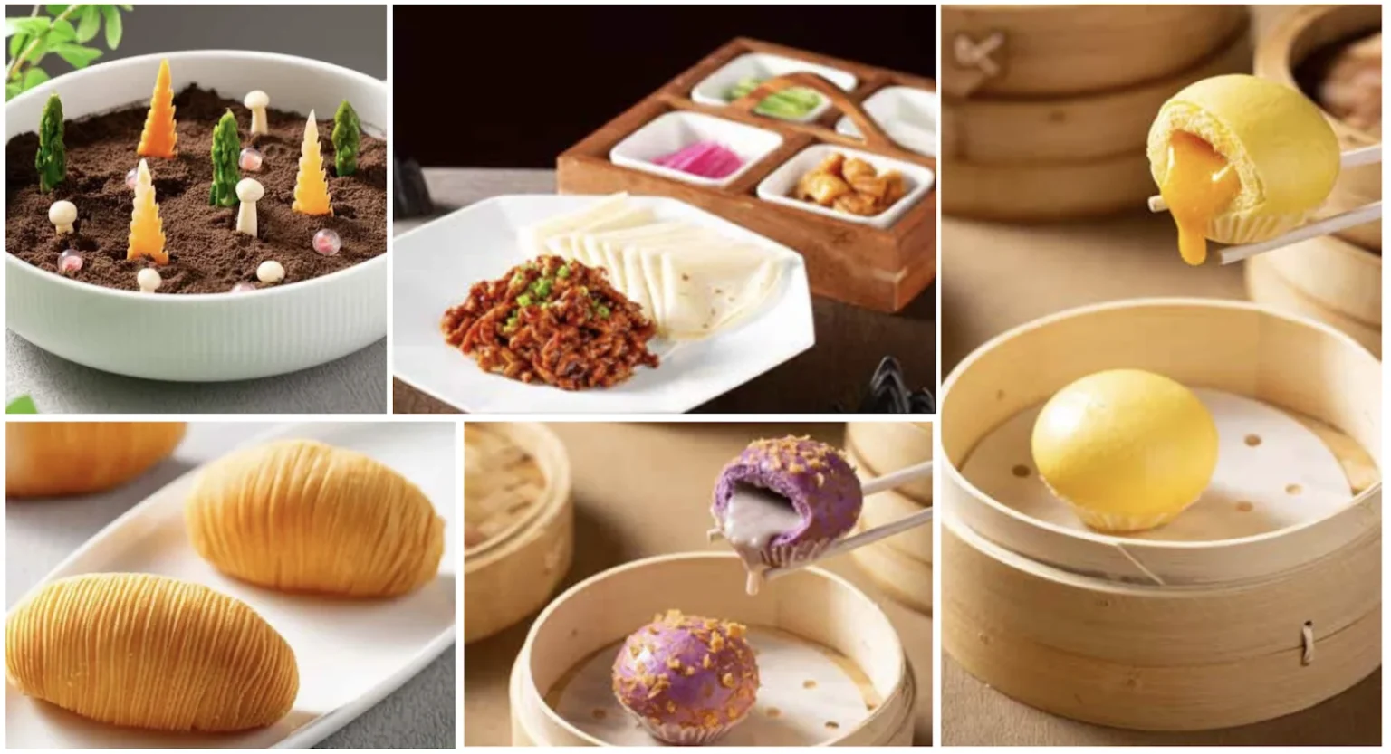 Paradise Dynasty New Cross-Cultural Menu Singapore