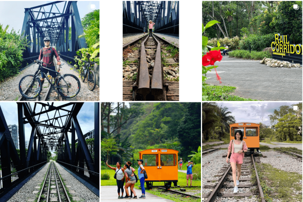 Bukit Timah — Bukit Timah Nature Reserve — Singapore Insiders